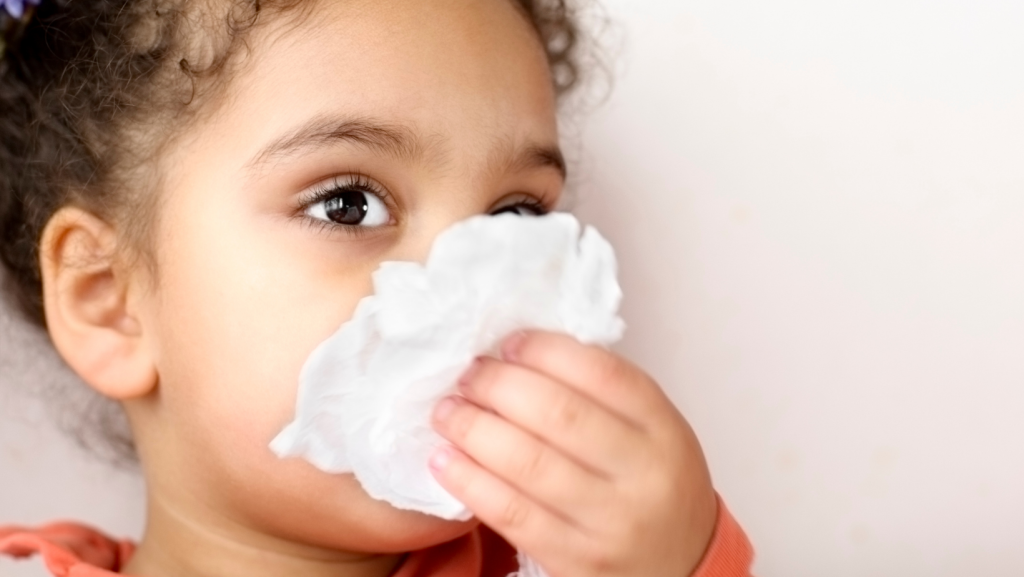 Preschool girl suffering with seasonal allergies and blowing her nose