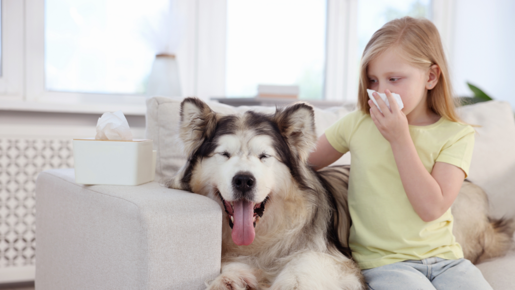 improve indoor air quality