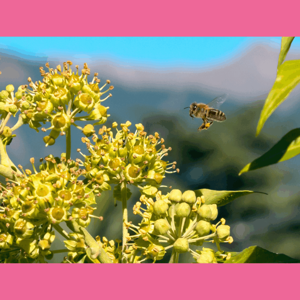 Bee flying to plant - eczema, asthma, and allergies in kids