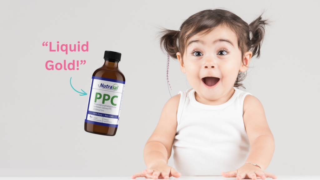 Phosphatidylcholine benefits