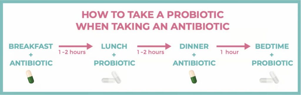 support the gut