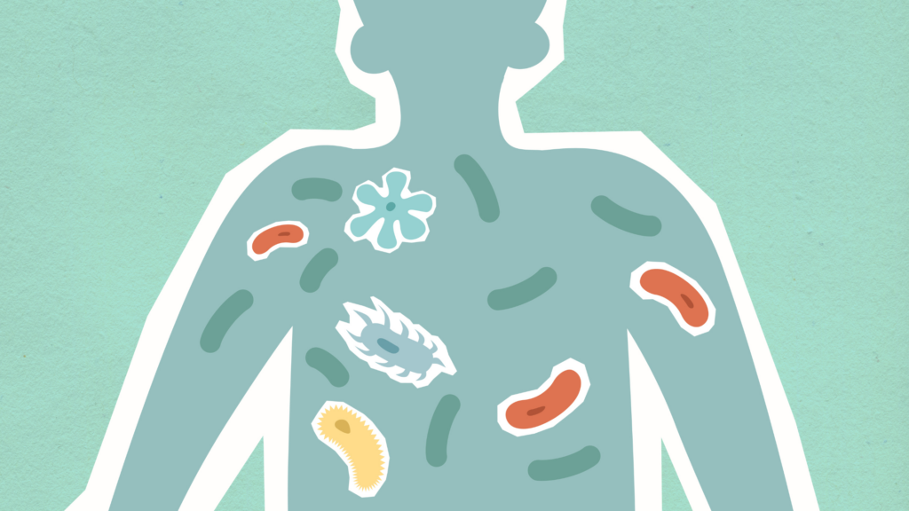 How to Take a Probiotic When on an Antibiotic
